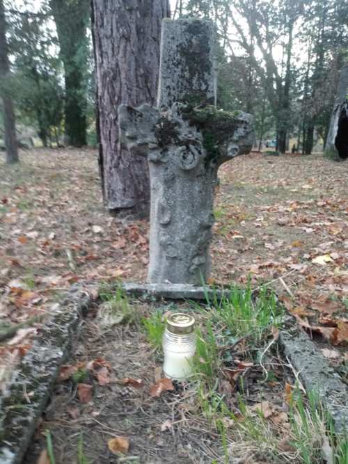 73196854 2445825985705059 4986424990199971840 n